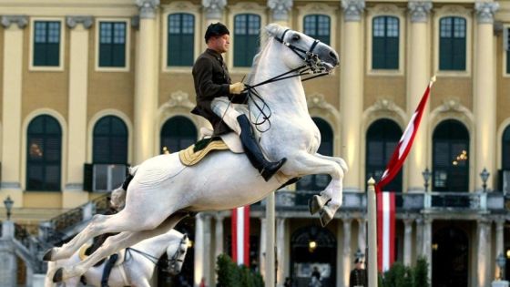 Виена и коне